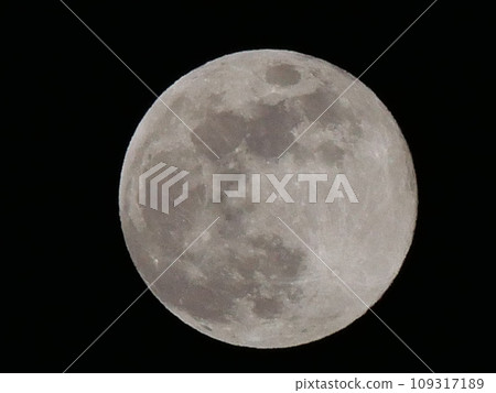 滿月  滿月 109317189