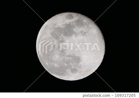滿月 滿月 109317205