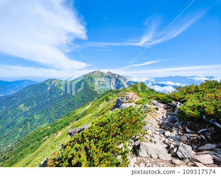 Climbing Mt. Jigatake in summer (view towards Mt. Kashima Yarigatake from the middle peak of Mt. Jigatake) 109317574