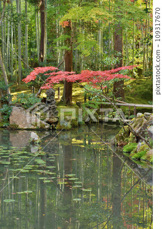 Tensenan的秋葉 109317670