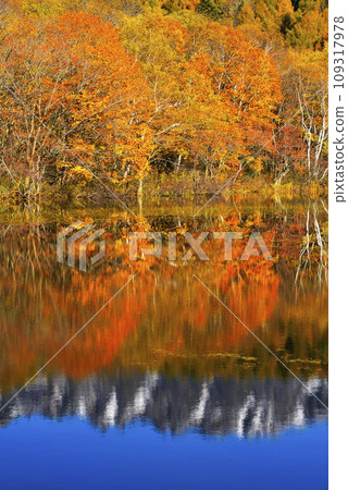 Togakushi和Kotorigaike Togakushi和Kotorigaike 109317978