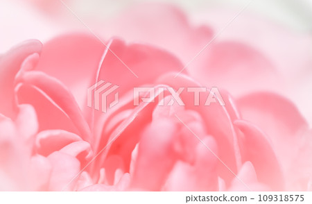 Soft focus, abstract floral background, pink rose flower. Macro flowers backdrop for holiday design Soft focus, abstract floral background, pink rose flower. Macro flowers backdrop for holiday design 109318575