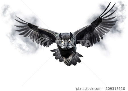 Image of an owl is flying and black smoke before white background. Birds. Wildlife Animals. Image of an owl is flying and black smoke before white background. Birds. Wildlife Animals. 109318618