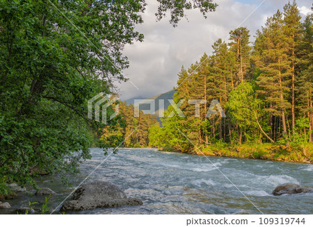 view of the mountain river Arkhyz 109319744