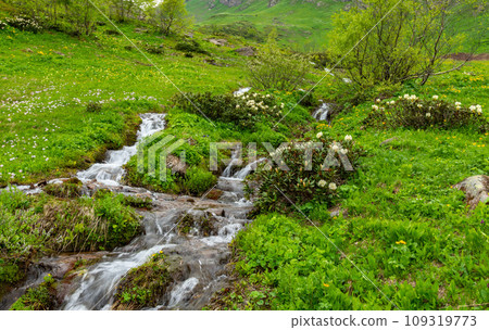 picturesque mountain stream 109319773
