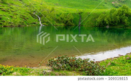 picturesque mountain stream 109319815