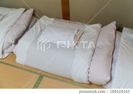 Inn futon and pillow 109320165