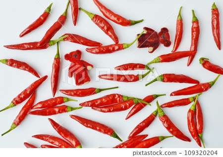 Bright red pepper and red teddy bear 109320204