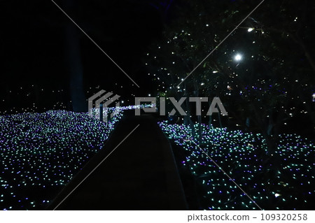 江之島海蠟燭 江之島海蠟燭 109320258