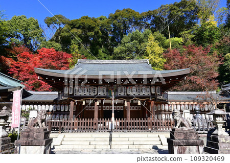 京都市哲學之路附近的熊野中尾寺神社 109320469