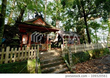 [Wakayama] Kumano Kodo (Nakahechi) 109320561