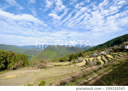 [Wakayama] Kumano Kodo (Nakahechi) 109320565