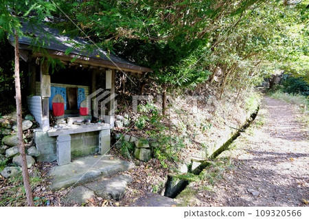 [和歌山] 熊野古道（中邊） 109320566