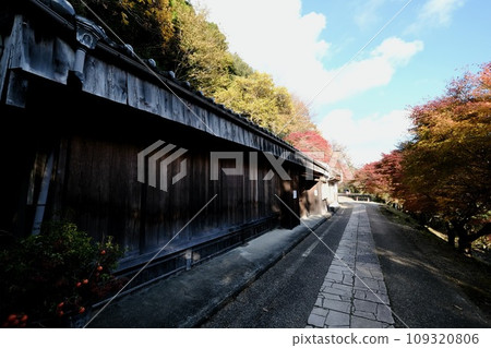 [Wakayama] Kumano Kodo (Nakahechi) 109320806