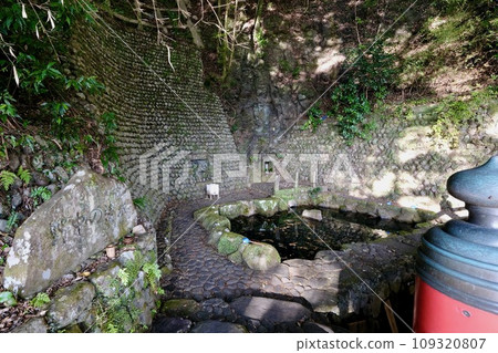 [和歌山] 熊野古道（中邊） 109320807
