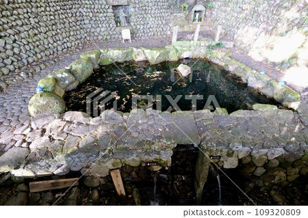 [Wakayama] Kumano Kodo (Nakahechi) 109320809