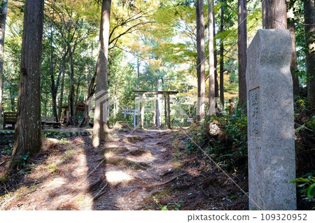 [Wakayama] Kumano Kodo (Nakahechi) 109320952