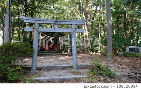 [和歌山] 熊野古道（中邊） 109320954