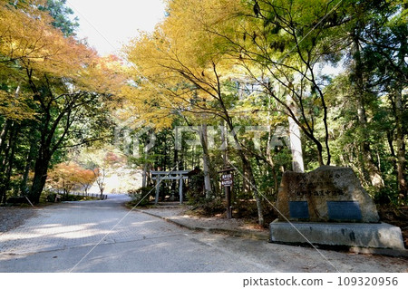 [和歌山] 熊野古道（中邊） 109320956