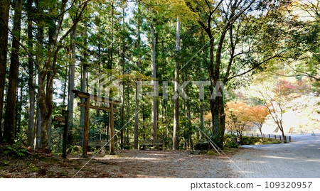 [和歌山] 熊野古道（中邊） 109320957