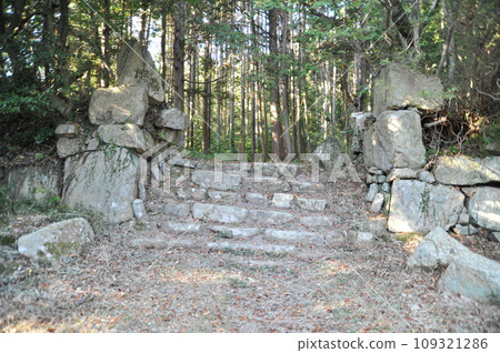 觀音寺城堡遺址 觀音寺城堡遺址 109321286