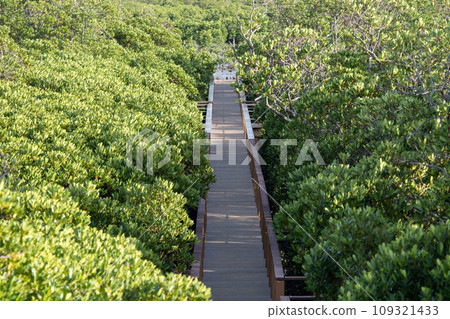 Manko Waterfowl and Wetland Center wooden path 109321433
