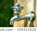 Park faucet 109321628