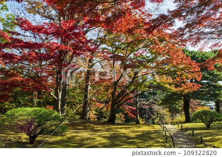 都立花園殿谷戶庭園的秋葉 都立花園殿谷戶庭園的秋葉 109322820