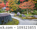 Nanzenji Hojo Garden (Kyoto) 109323855