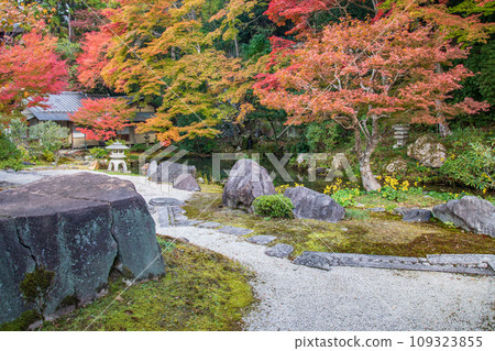 南禪寺北條庭園(京都) 南禪寺北條庭園(京都) 109323855