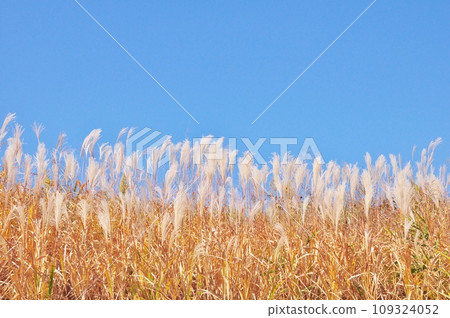 Susuki在藍天閃耀 109324052