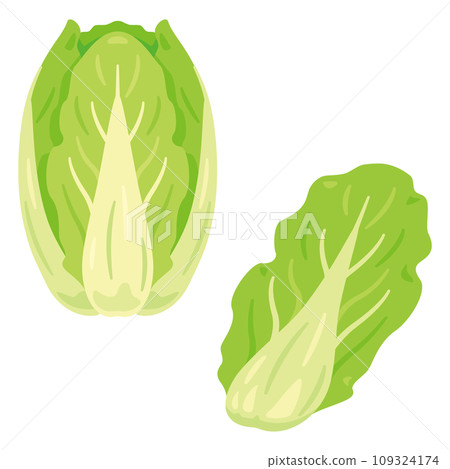大白菜套餐 109324174