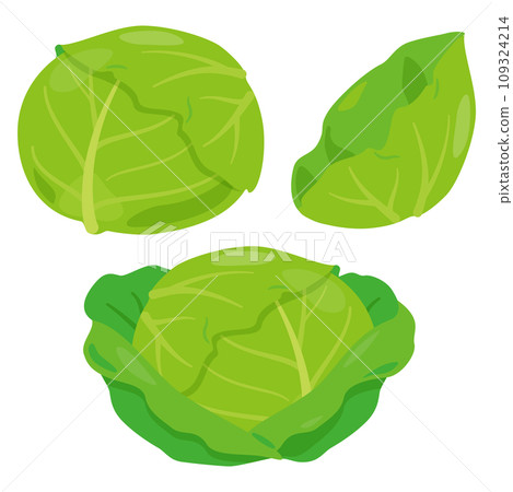 高麗菜套餐 109324214