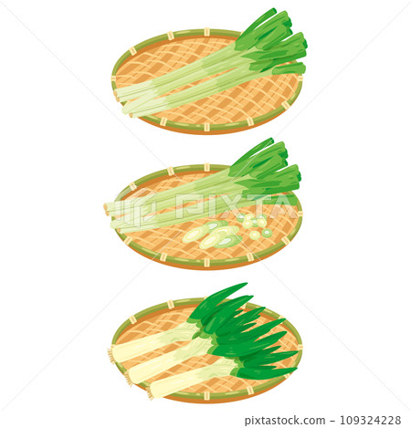 A set of green onions in a colander 109324228