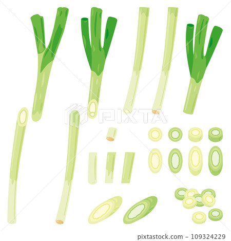 Cut long green onion set 109324229