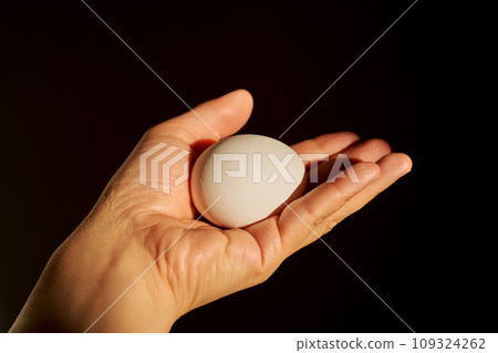 White chicken egg in a woman's hand. 109324262