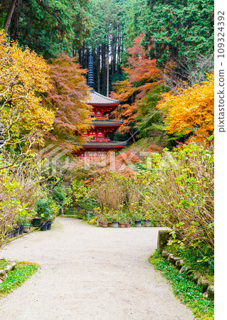 [京都府] 木津川市岩船寺（2023年11月29日拍攝） 109324392