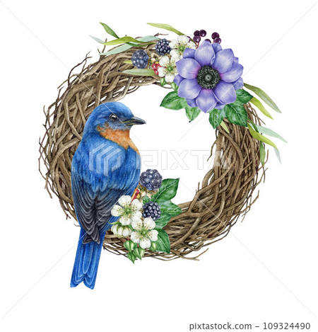 Floral decor wreath with bird. Watercolor vintage style painted illustration. Hand drawn rustic decoration. Vine wreath with garden flowers, ivy leaves, berries, bluebird. White background 109324490