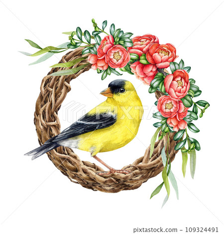 Floral decor wreath with bird. Watercolor vintage style painted illustration. Hand drawn rustic decoration. Vine twisted wreath with blooming quince flowers, leaves, goldfinch bird. White background 109324491