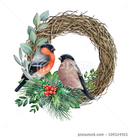 Winter wreath decor with bullfinches. Watercolor illustration. Hand drawn Christmas festive rustic decoration with eucalyptus, pine, holly and couple bullfinch birds. Isolated on white background 109324501