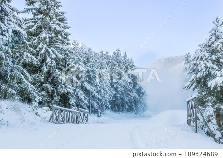 Bansko, Bulgaria resort panorama with snow cannon Bansko, Bulgaria resort panorama with snow cannon 109324689