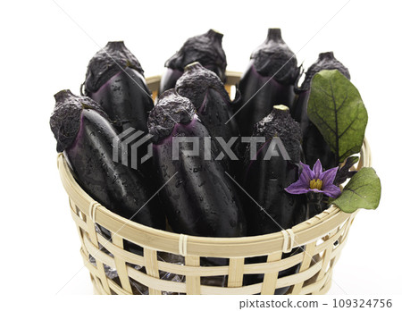 Fresh eggplant bright material image (white background) with eggplant flowers and leaves Fresh eggplant bright material image (white background) with eggplant flowers and leaves 109324756