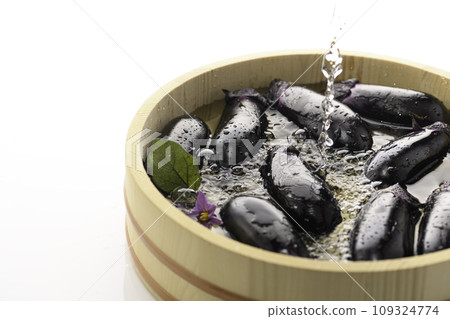 新鮮茄子亮麗素材圖（白色背景） 109324774