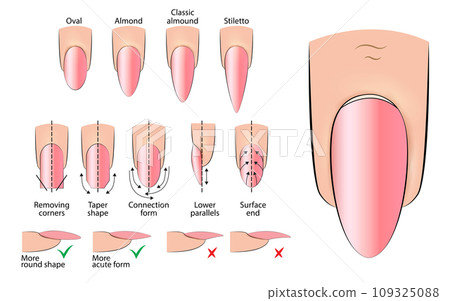 Illustration of a manual for creating an oval-shaped manicure Illustration of a manual for creating an oval-shaped manicure 109325088