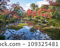 Autumn leaves of Murinan (Kyoto) 109325481