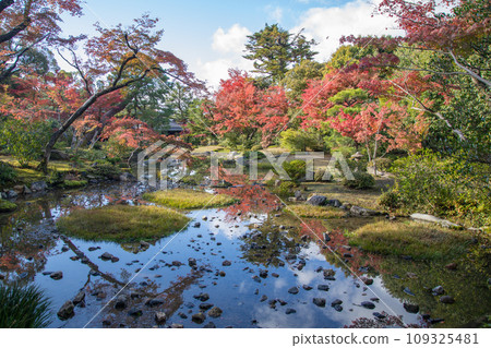 Autumn leaves of Murinan (Kyoto) Autumn leaves of Murinan (Kyoto) 109325481