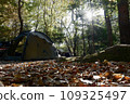 campsite layout 109325497