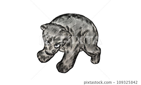 Bear 1 109325842
