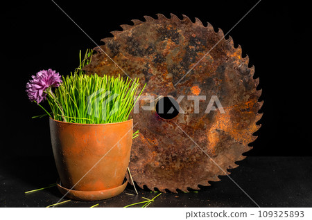 Composition with old rusty saw and green grass Composition with old rusty saw and green grass 109325893