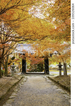 Akizuki Castle Ruins with Beautiful Autumn Leaves (Asakura City, Fukuoka Prefecture) 109326064